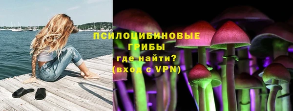 spice Алексин