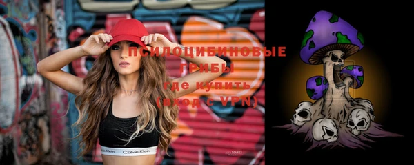 не бодяженный Алзамай