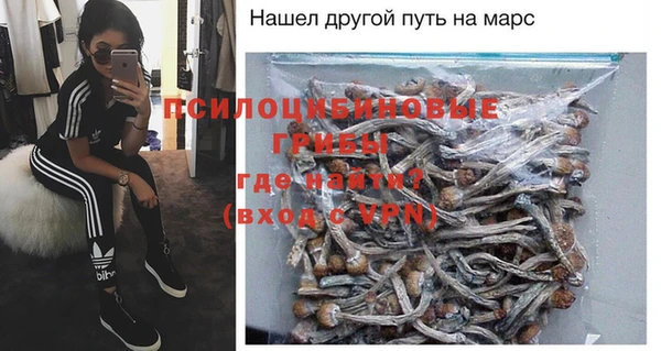 spice Алексин