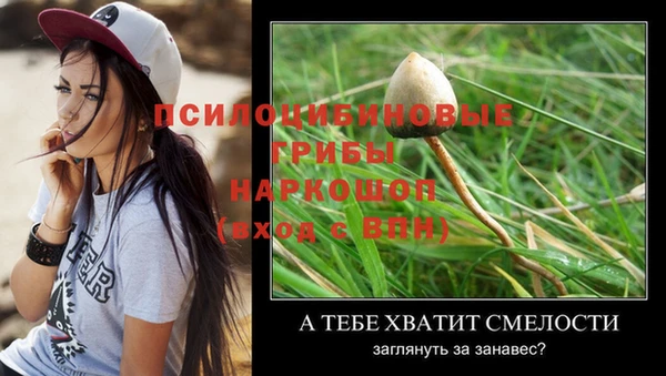 spice Алексин