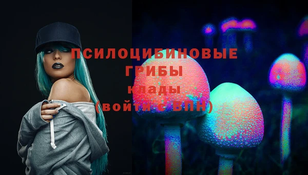 не бодяженный Алзамай