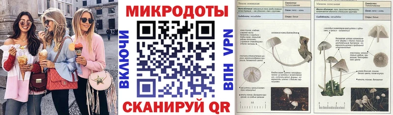 ссылка на мегу ТОР  Староминская  Псилоцибиновые грибы Psilocybe 